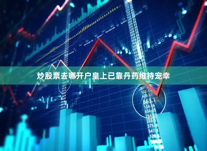 炒股票去哪开户皇上已靠丹药维持宠幸