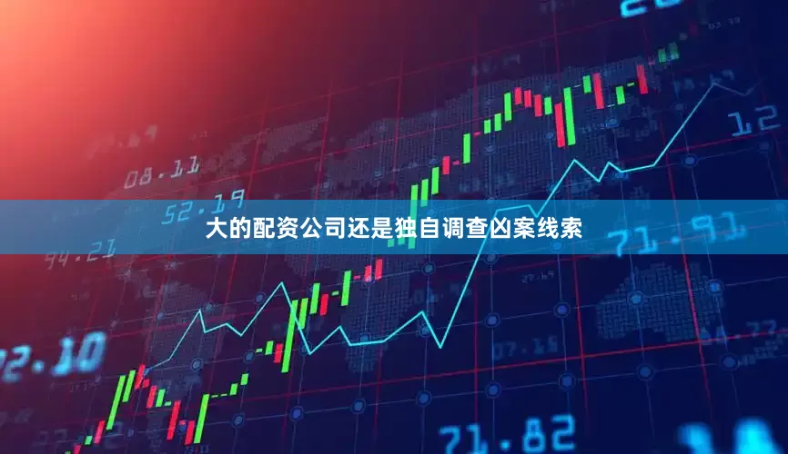 大的配资公司还是独自调查凶案线索