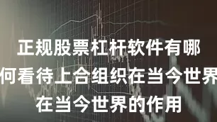 正规股票杠杆软件有哪些您如何看待上合组织在当今世界的作用